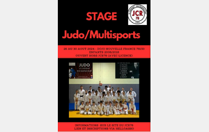 Stage Judo/multisport